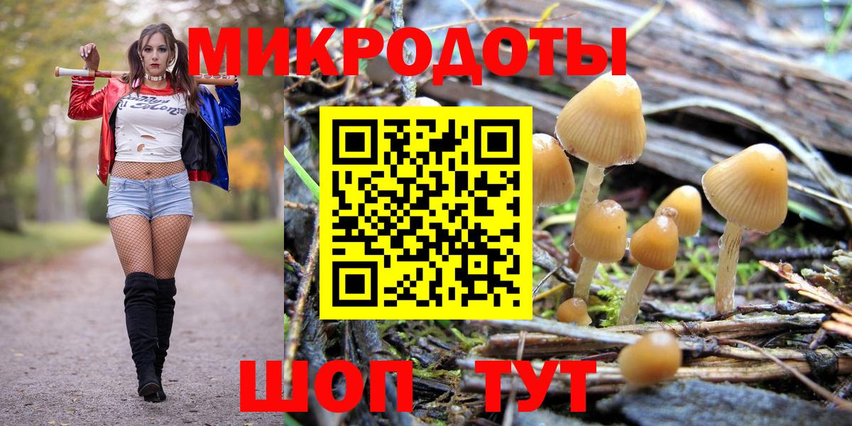 Губаха  Псилоцибиновые грибы Psilocybe  Вход с VPN  Псилоцибиновые грибы ЛСД 